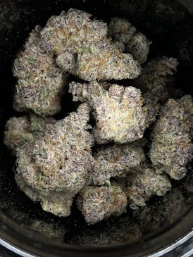 BAR H Industries - Tropicana Cherry #8