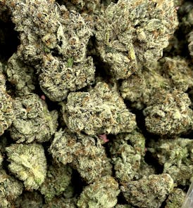 Flathead Farm - Ice Cream Cake - Bigz $50- Flower