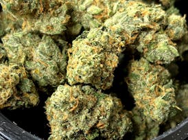 Burly Botanicals - Bootylicious #1 - Flower