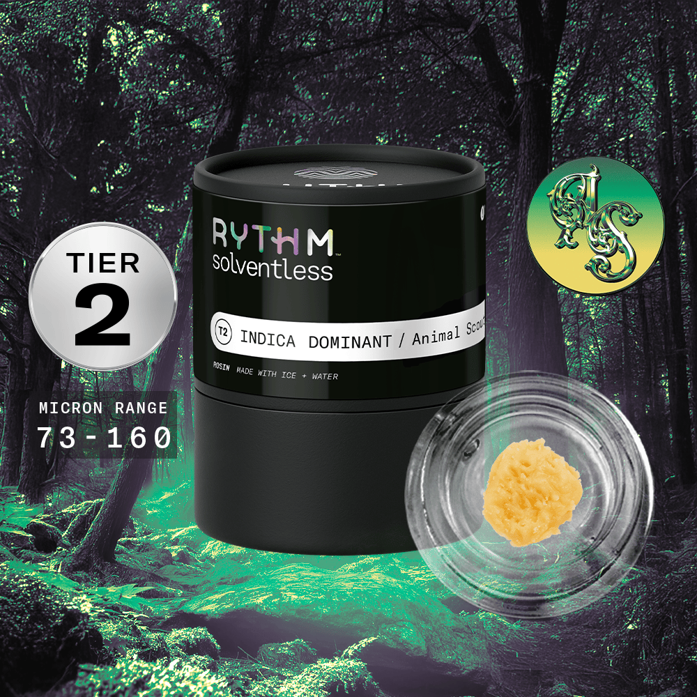 Animal Scout | RYTHM - Tier 2 Live Rosin (Solventless) Concentrate