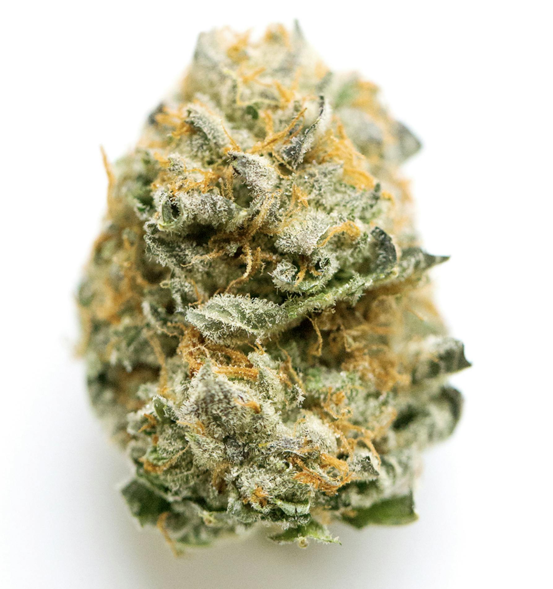 Rainbow Sherbet #11_ 3.5g - 25.4% - Nature's Choice - Hybrid 2.22% Terps