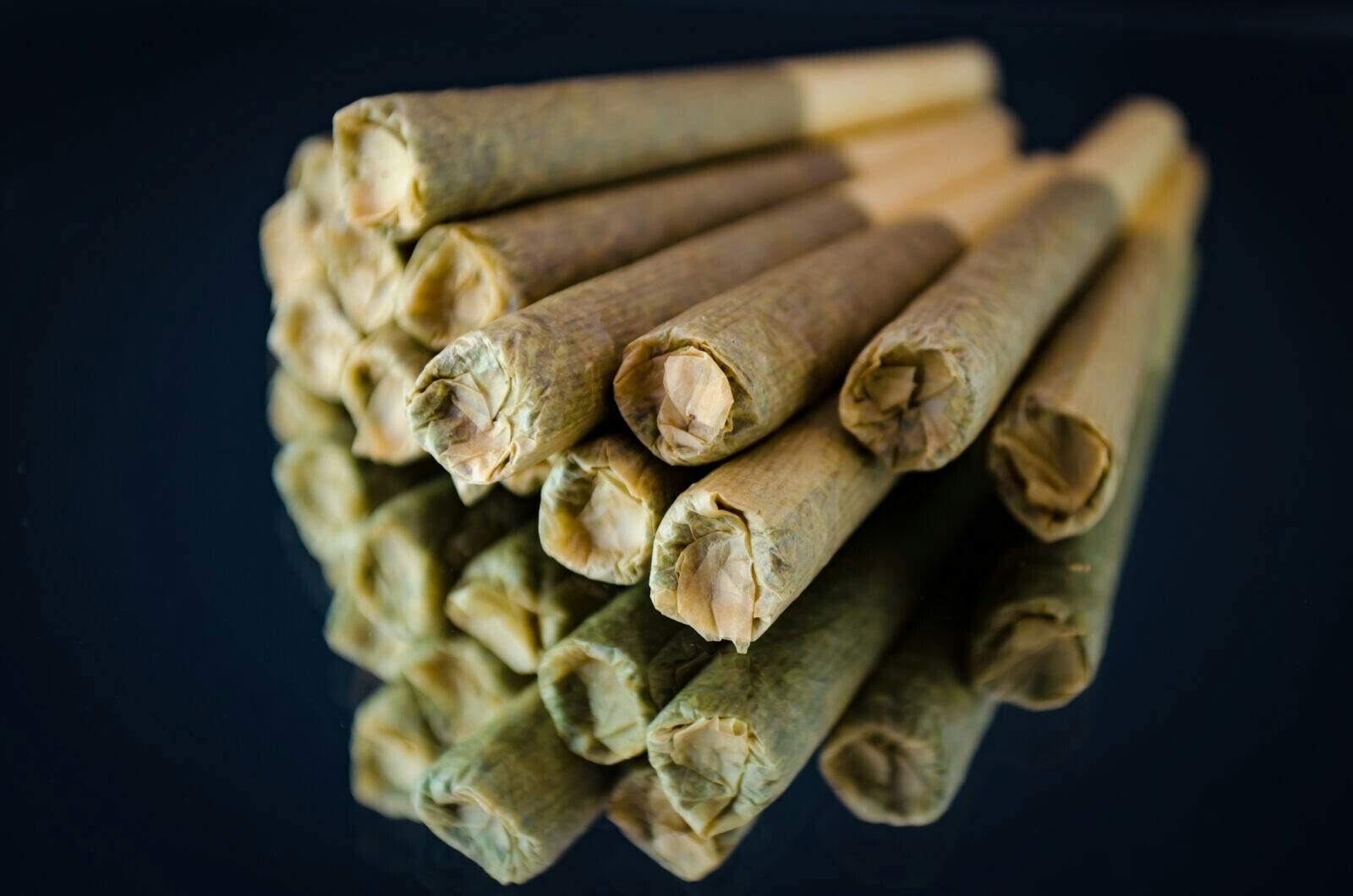 Blueberry Malasada 14x .25g Dogwalker Preroll - gruv - Indica