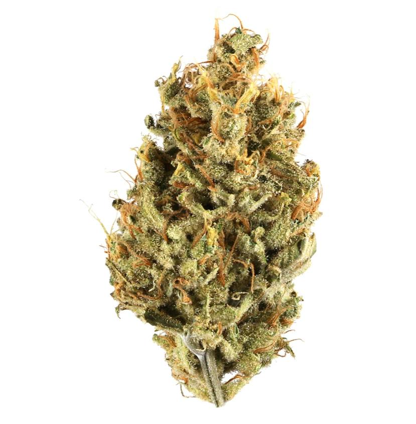 Cheesy Headband 3.5g - Keen Cannabis - 25.4% - Hybrid at AllsWell Brands, LLC