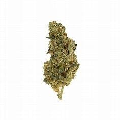 Sunset Octane x Pineapple Pez 3.5g - 29.3% - Sweet Life Canna Company - Sativa Hybrid