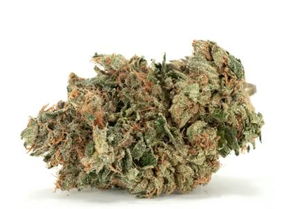 Sfv Og