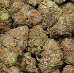 Cereoz Blackwater