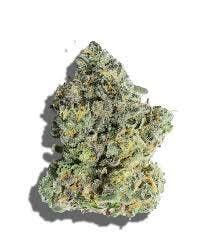 Rainbow Zangria 3.5g - Max Harvest - 24.2% - Hybrid
