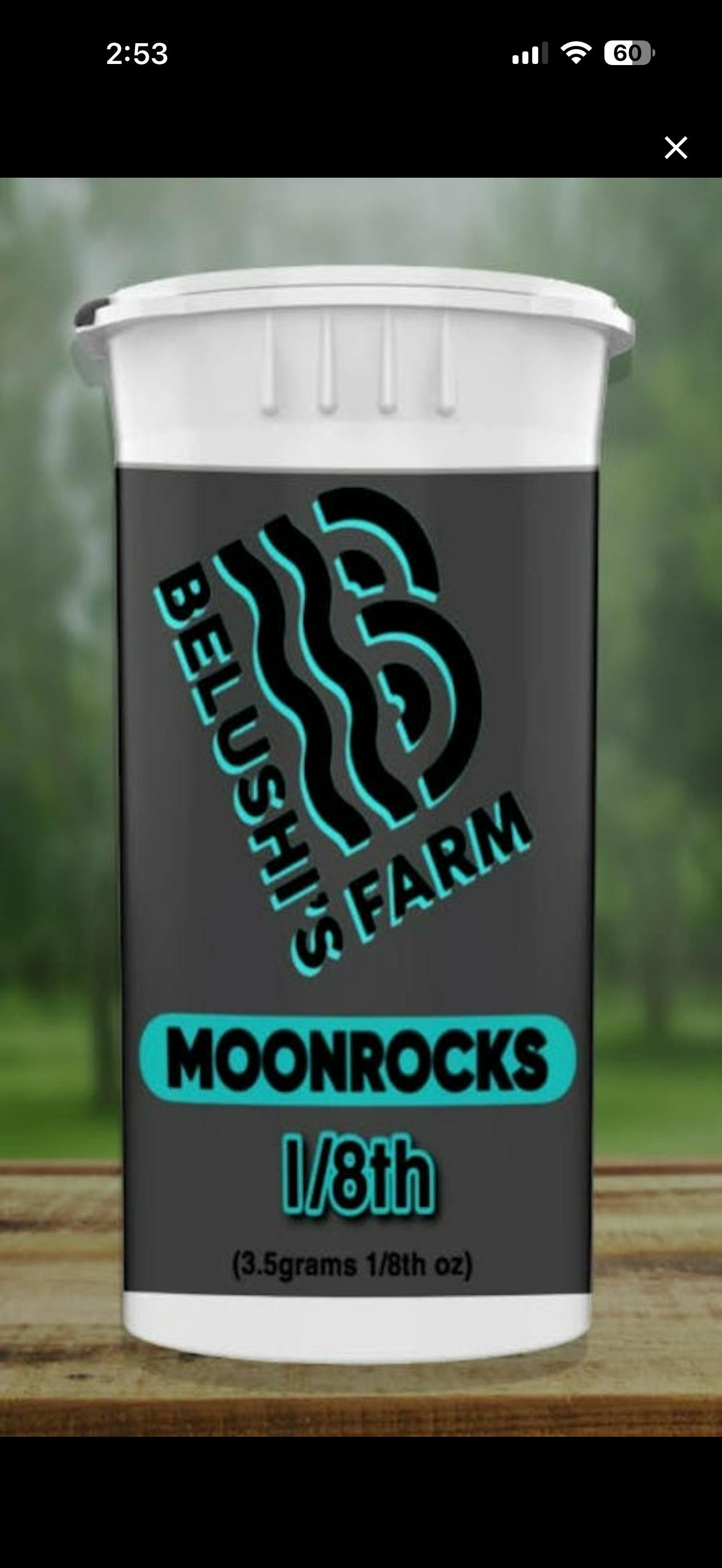 Pineapple Sage Moon Rocks