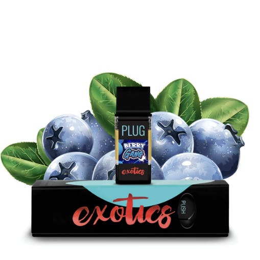 PlugPlay - EXOTICS:: Berry Gang