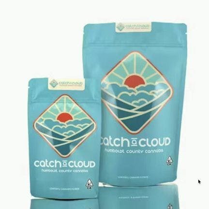 Catch A Cloud: Motor Breath