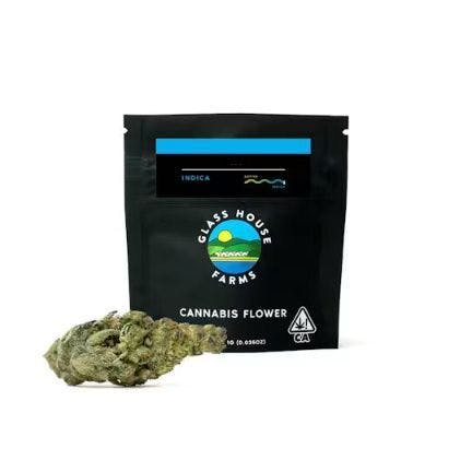 Glass House Farms: Gelato #33