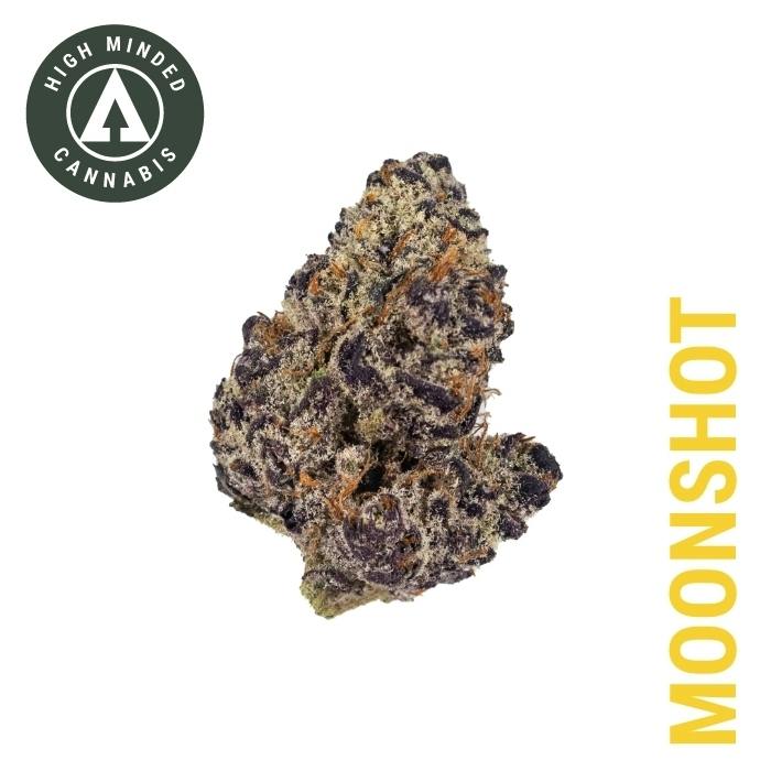 Moonshot - Gold Tier at Cloud Cannabis Kalamazoo Dispensary