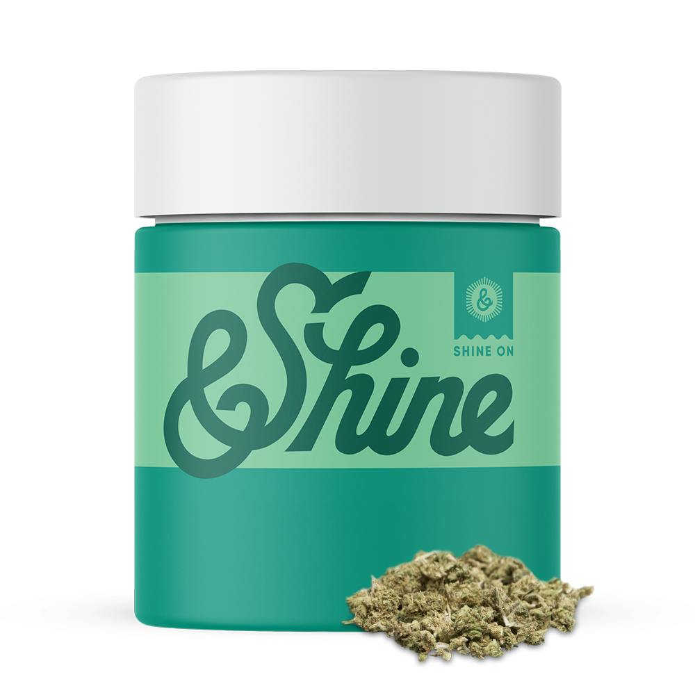 Master Kush at Silver State Relief
