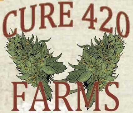 Cure 420 Farms — Kush Mintz - Kush Mintz