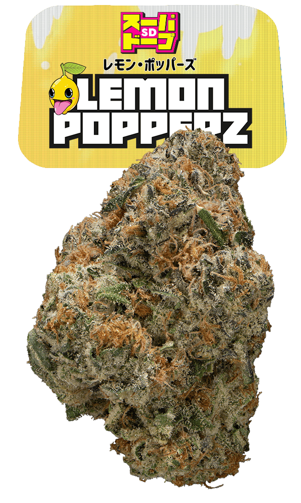 Sd Lemon Popperz