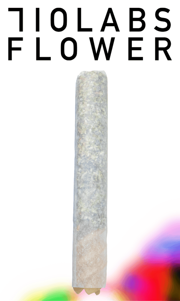 Noodle Doink Cold Creek Kush