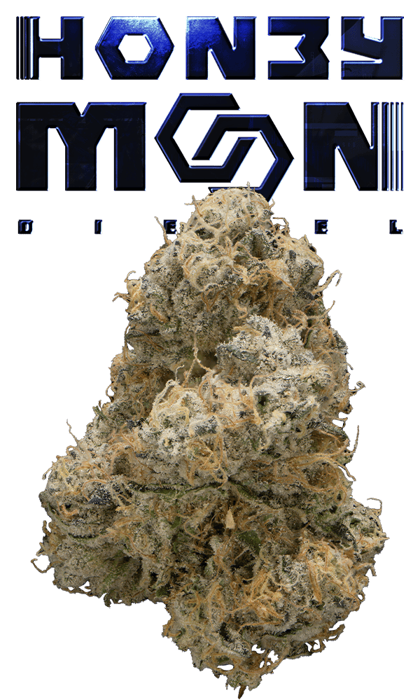 Honeymoon Diesel Eighth