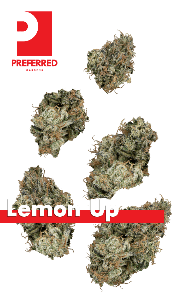 Lemon Up 7g Juniors