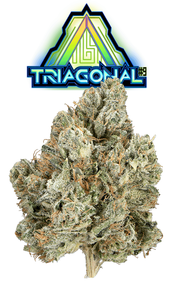 Triagonal #9 Eighth (Glass Jar)
