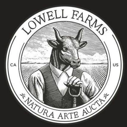 Lowell Outlaws - The High Noon - 1g Pre Roll