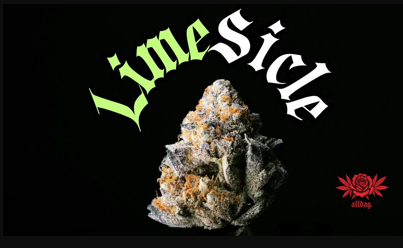 Allday - Limesicle - 3.5g Flower
