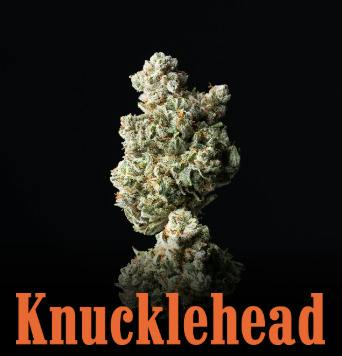 Knucklehead - GMO Rootbeer - 7g Mixed Nugs