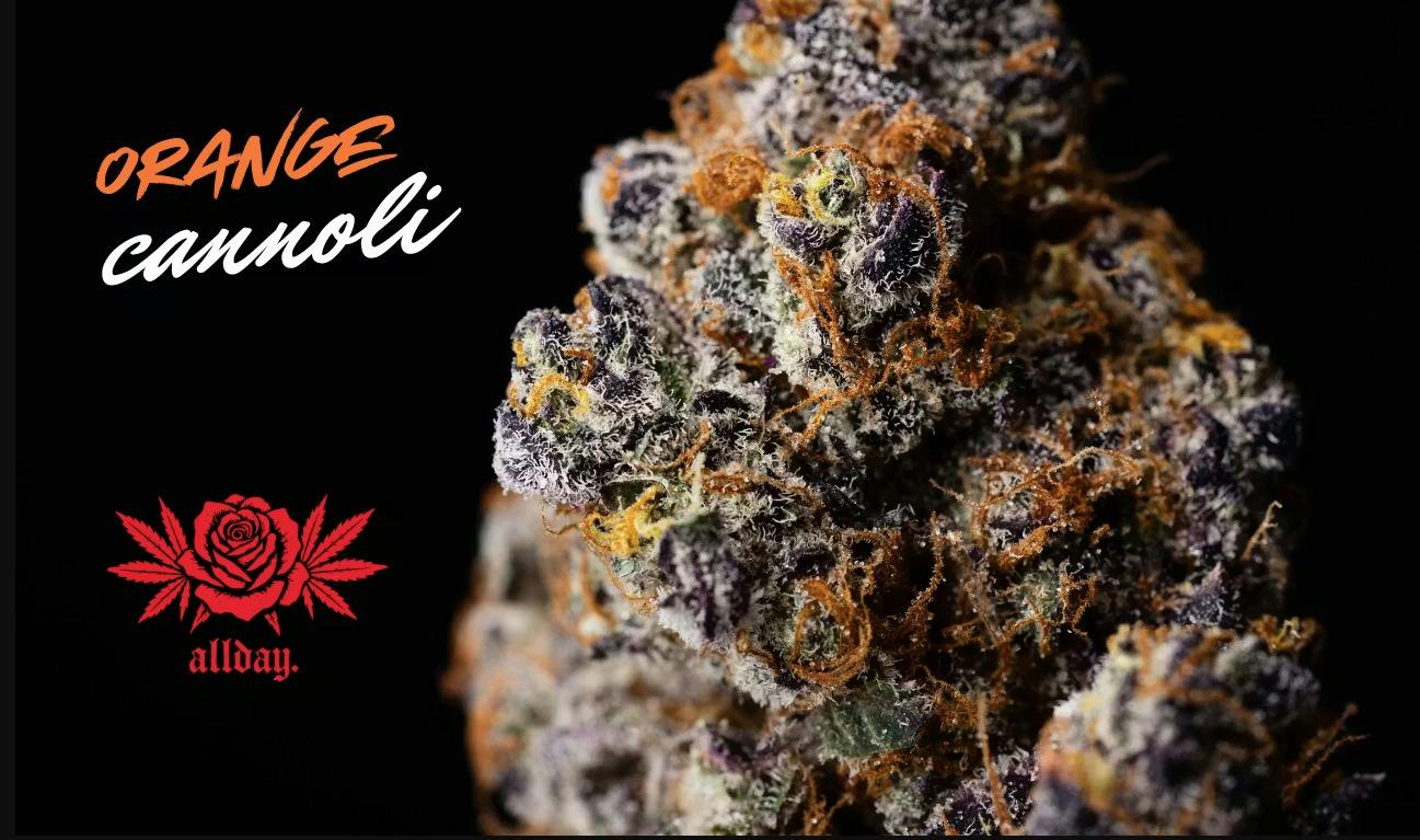 Allday - Orange Cannoli - 3.5g Flower