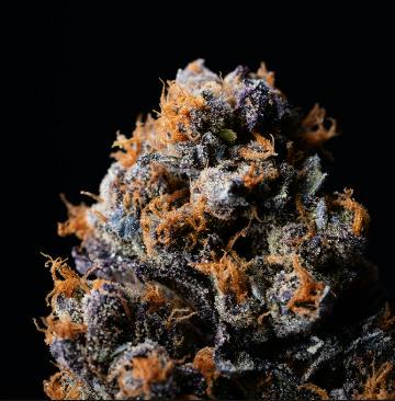 Allday - Rose Pop - 3.5g Flower