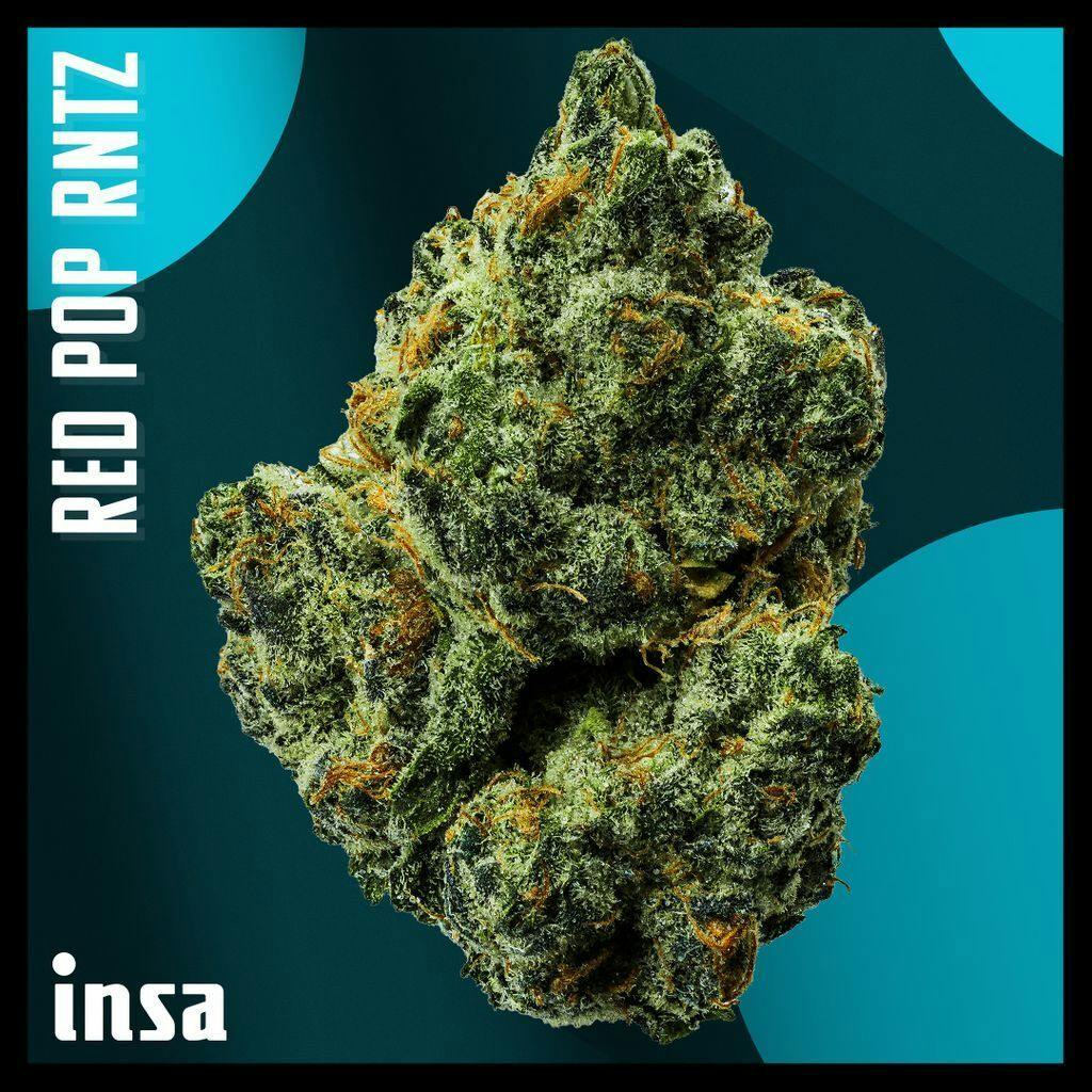 INSA Red Pop Rntz Whole Flower 14g