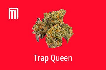 Trap Queen | Smalls