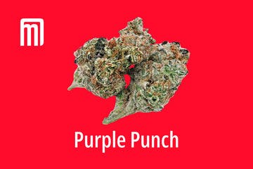 Purple Punch | Smalls