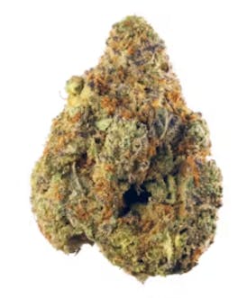 FLOWER - 7.0G | PISTACHIO GELATO