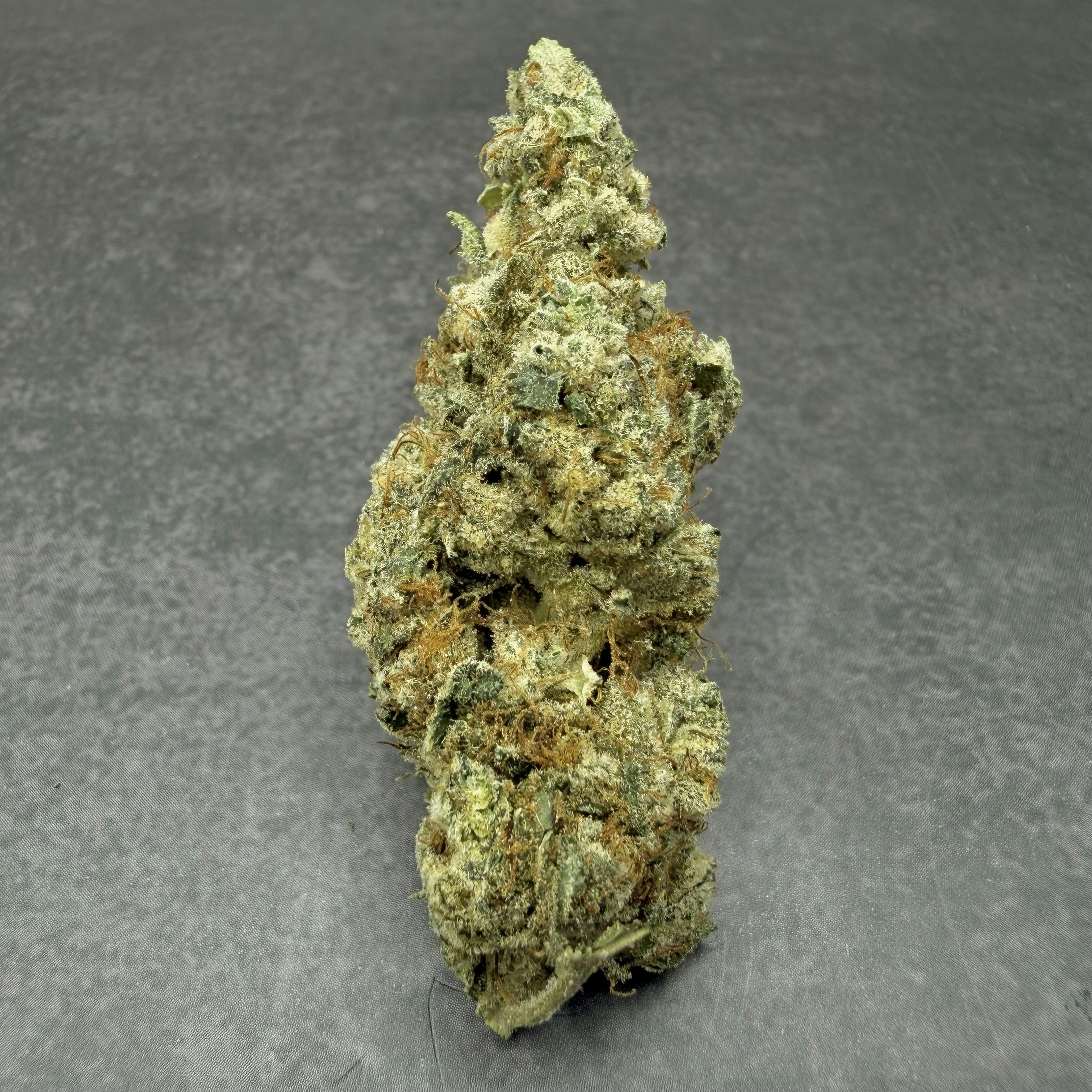 Glue | Deli Jar | Mainely Rooted