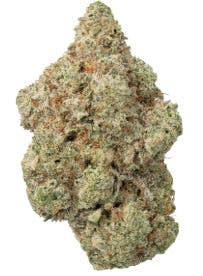 Black Domina | Deli Jar | Magic Box