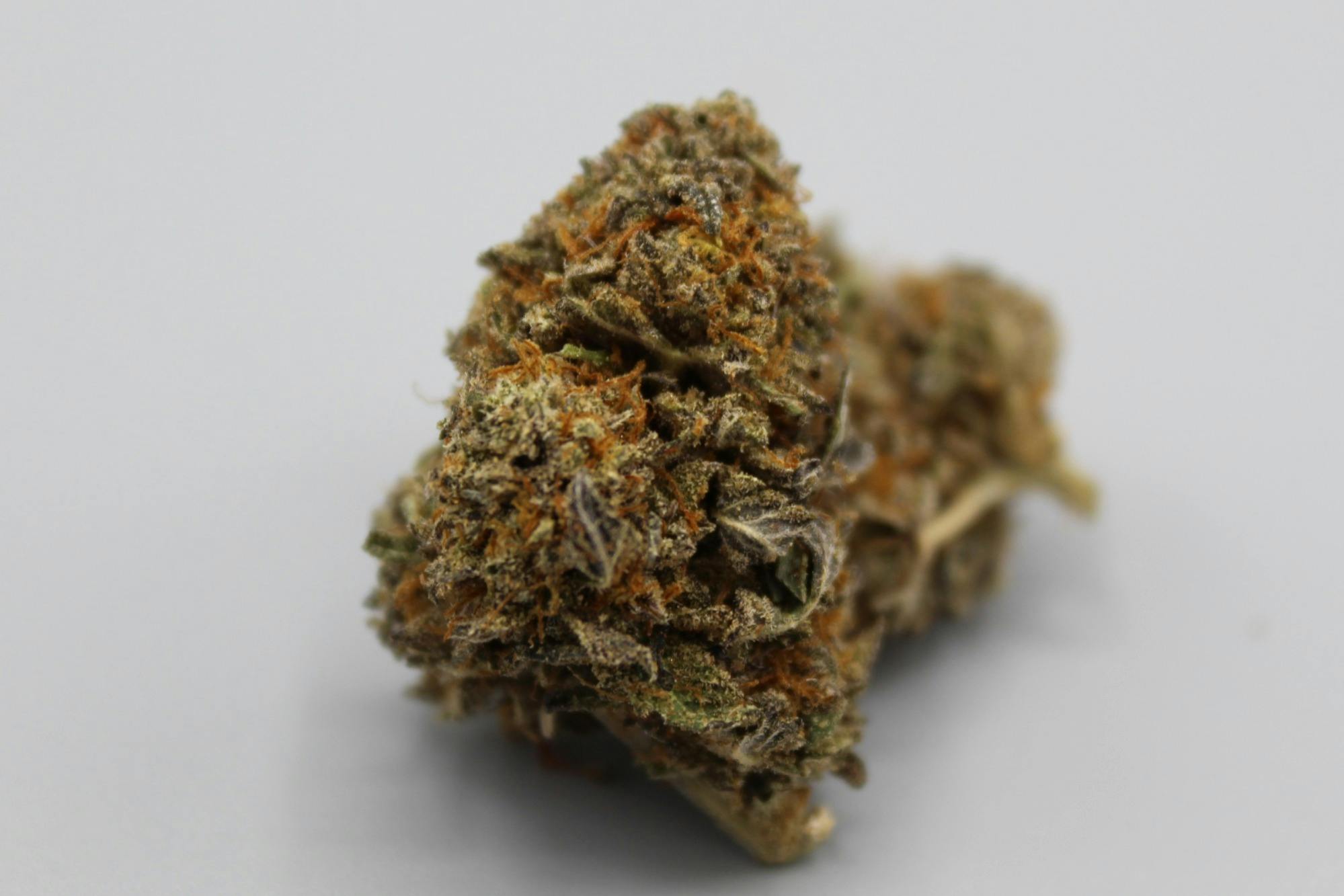 Jedi Kush | Deli Jar | Indica | The Magic Box