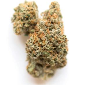 Sundae Driver x Zawts | Deli Jar | Stella Farms