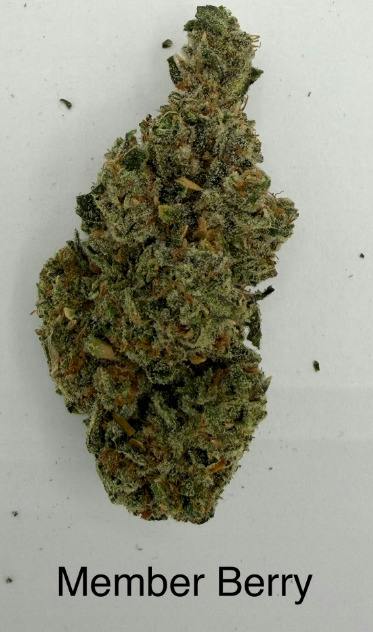 Member Berry | Deli Jar | Faded Cannabis Co
