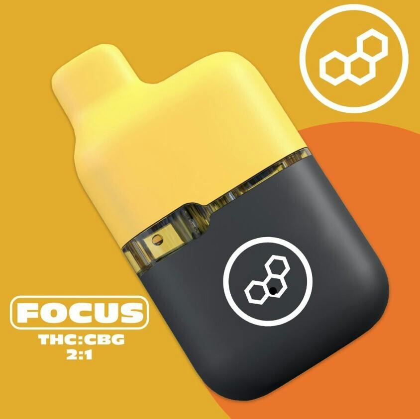 Disposable | Focus MT 0.5g | THC/CBG | 42067 at Nightjar East Lyme Dispensary