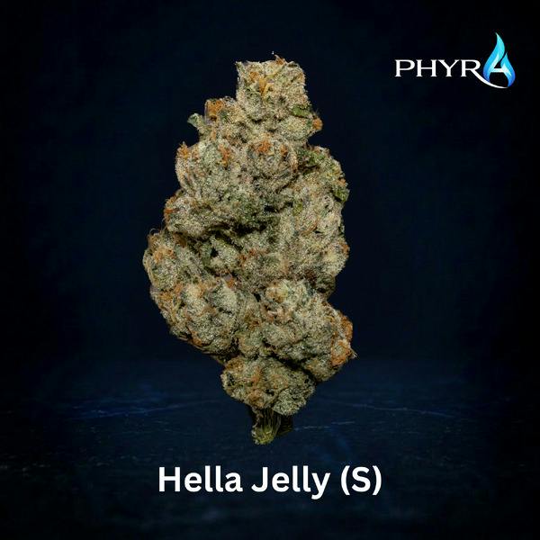 Flower | Hella Jelly 3.5g | High THC | 00666