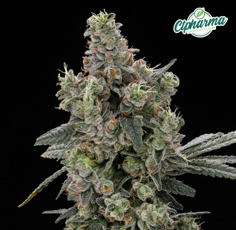Flower | Original Glue 3.5g | 27144