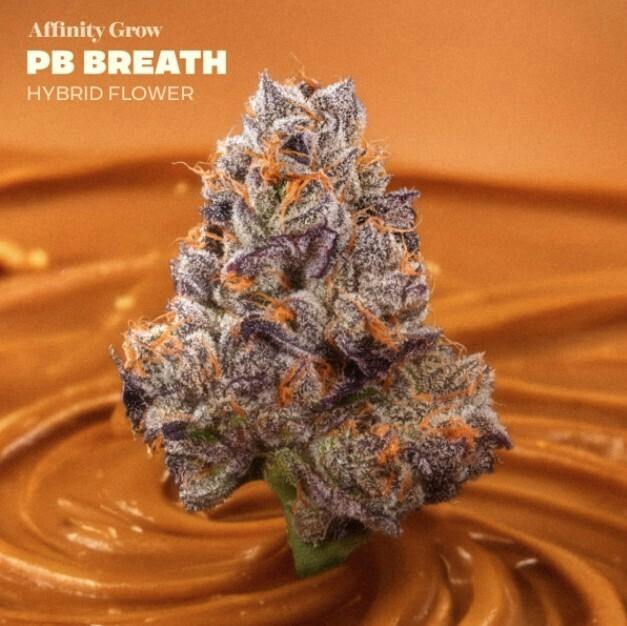 Flower | PB Breath 3.5g | 01005