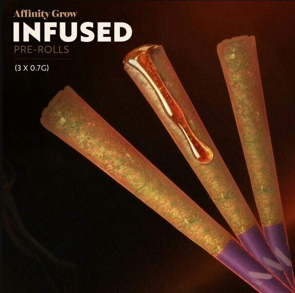 Pre-Roll Pack | Orange Sunshine Infused | 3pk | 00976 at Nightjar East Lyme Dispensary