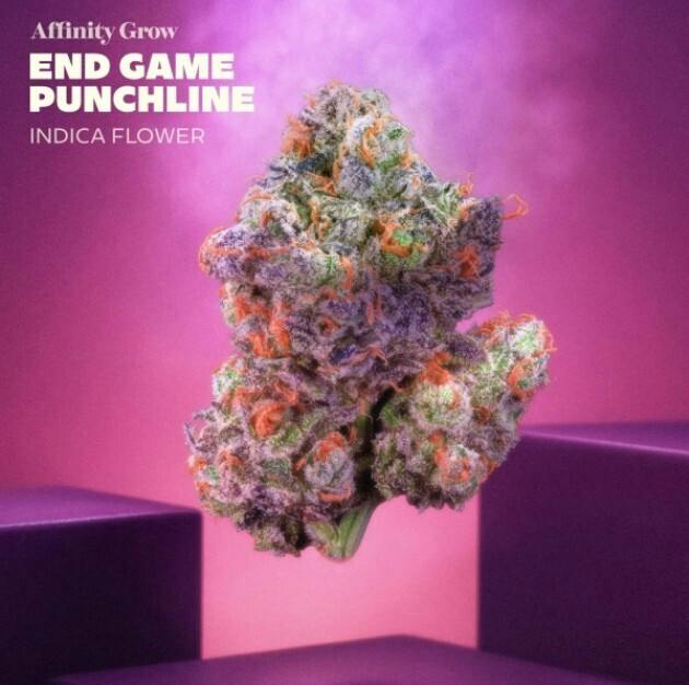 Flower | Endgame Punchline 3.5g | 00895 at Nightjar East Lyme Dispensary