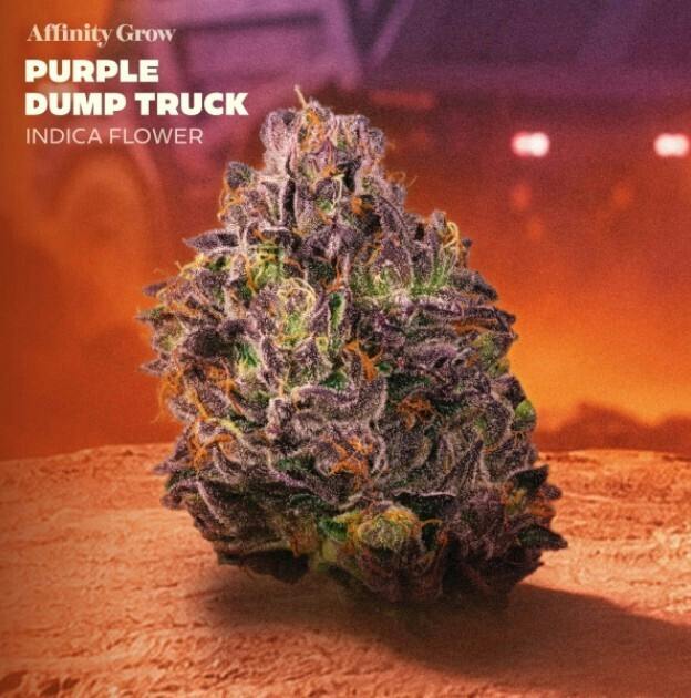 Flower | Purple Dump Truck 3.5g | 00895