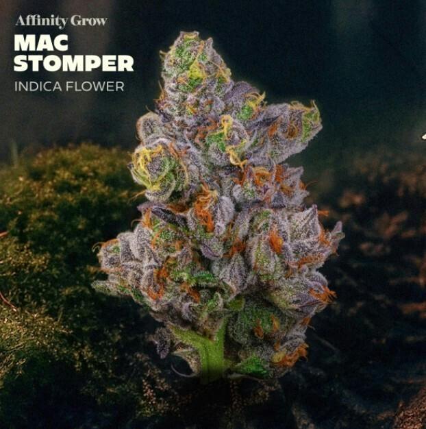 Flower | Mac Stomper 3.5g | 01047
