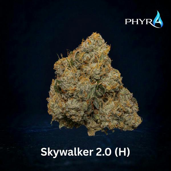 Flower | Skywalker 2.0 3.5g | High THC | 00664