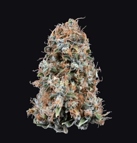 Woodward | Blueberry Cheesecake