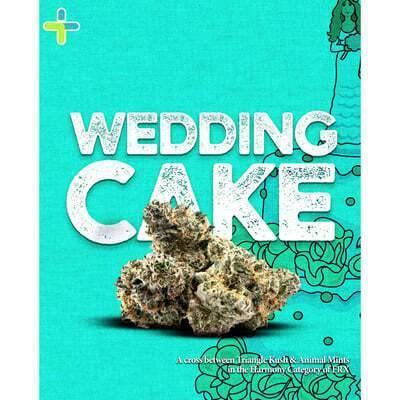 FRX Certified Organic | Wedding Cake | 5.66g Premium Flower