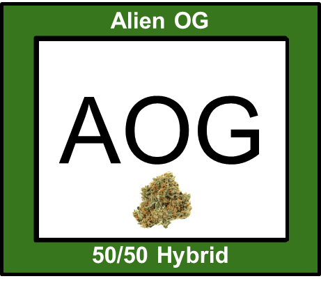 Alien OG 3.5g - 50/50 Hybrid - Flora Farms