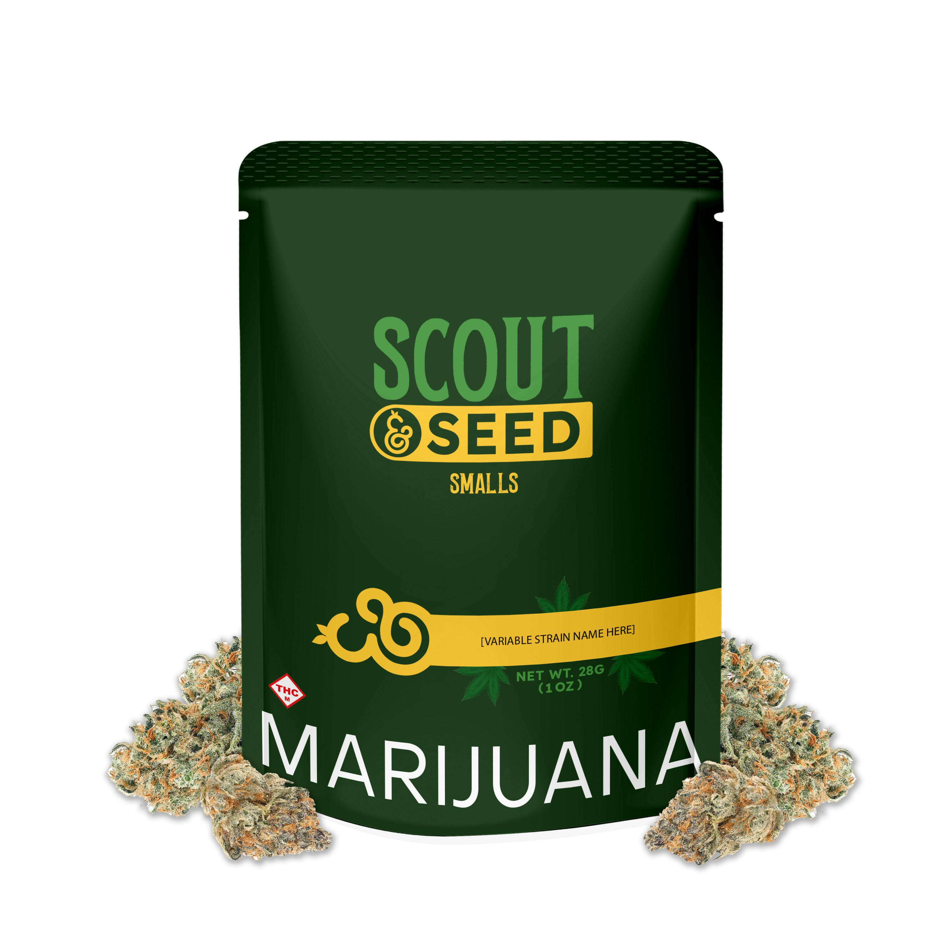 Gazz 28g Small Buds - Hybrid - Scout & Seed
